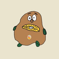 kiwi1729